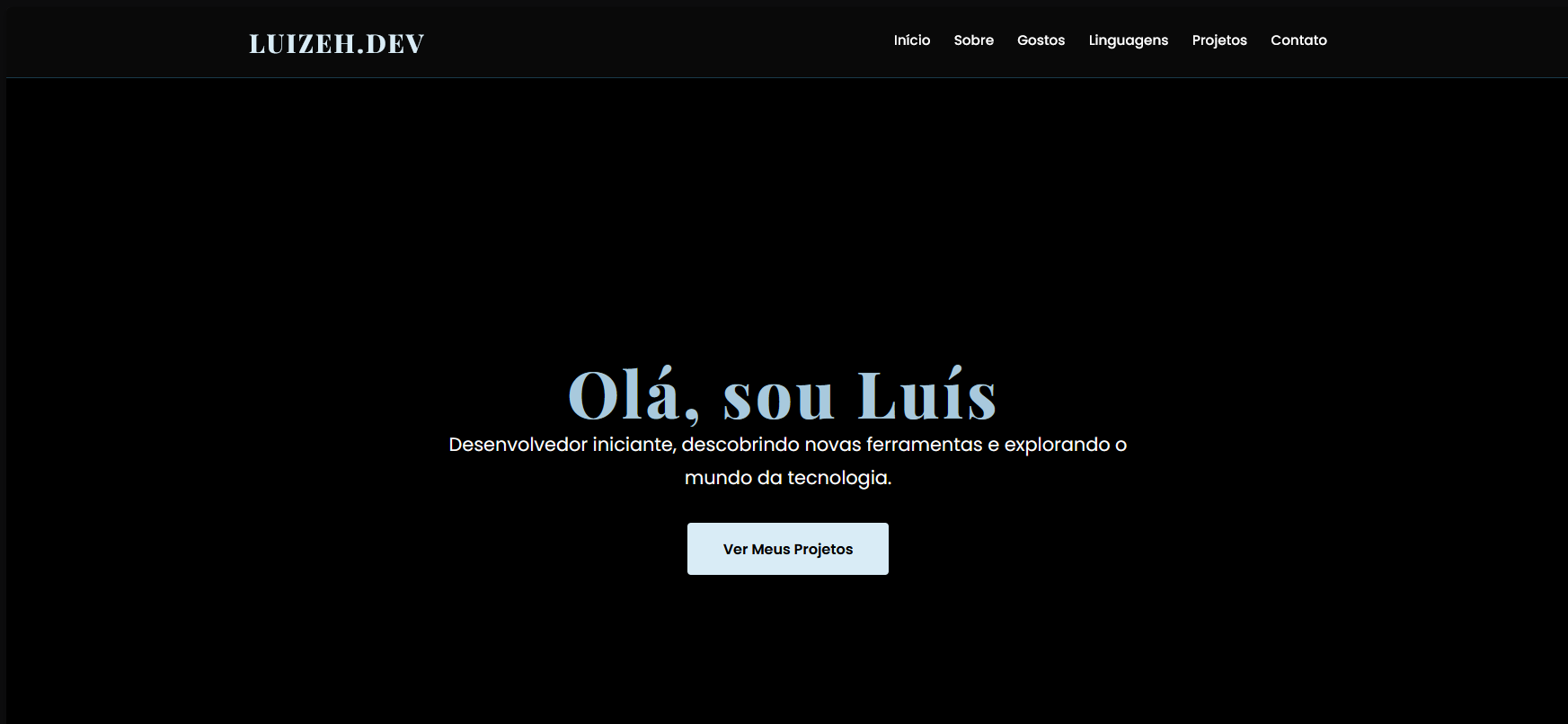 Portfolio Oficial